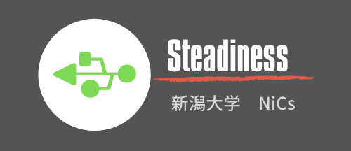 steadiness_logo